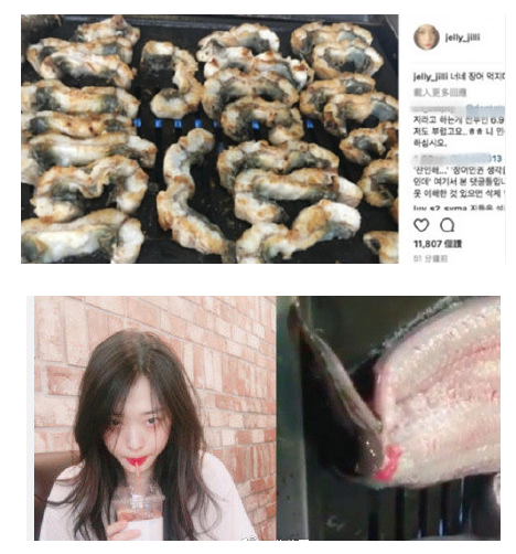 ������۴�ѩ��������Ƶ�������¼� �����Լ�����������ѩ����Ϊʲô����