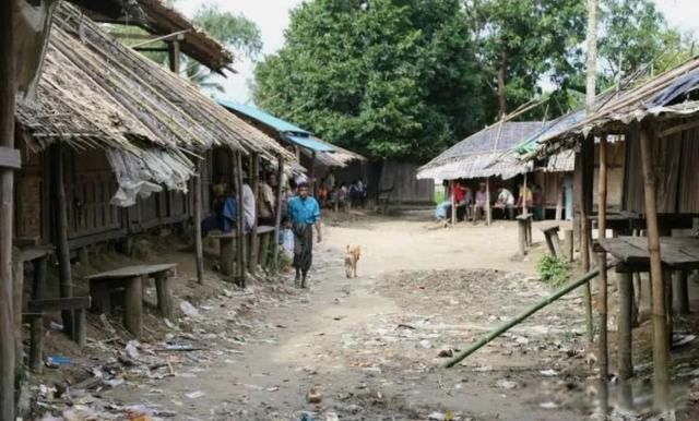 ��鱱��Ϊʲô�й���ȥ���� ʧ�ػ��ң���鱱����������������