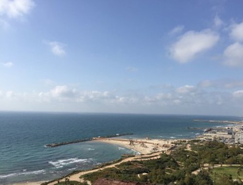 �������赸�ҡ������뺺˹�İ������