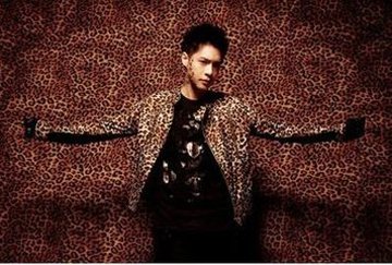 �Ƕ����������ݹ��ĵ��Ӿ�����Щ ��ĸ��ǿ��Ļ���