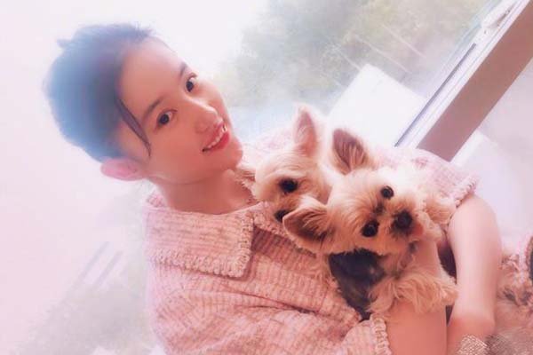 ���������������˭ ��������ֻ���γ���